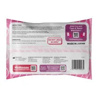 Hotteeze Heat Pads - Regular - Made in Japan